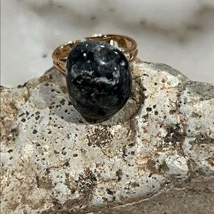 Black Larvikite Stone Stainless Steel Ring